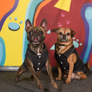 Fundraising Page: Tonks and Wrigley Vetter